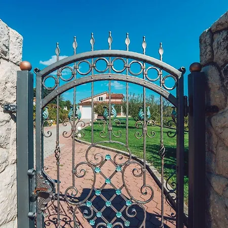 Zen Imotski * Zmijavci